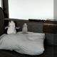 Now there are two of them. Which one is the ARCore Porg?